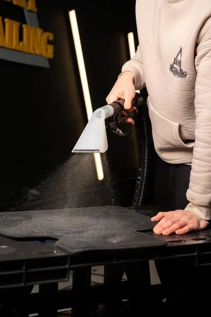 Premium Auto-Detailing Ergebnis 32 – Lana Detailing Leipzig